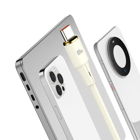 Lanex PD65W Type-C To Type-C & Type-C To Lightning Cable LS46T