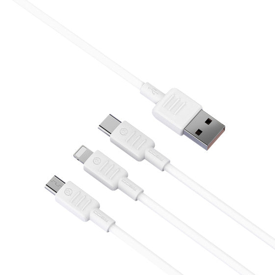 Recci Fast Charging and Data Cable Micro to USB 2.4A RS10M