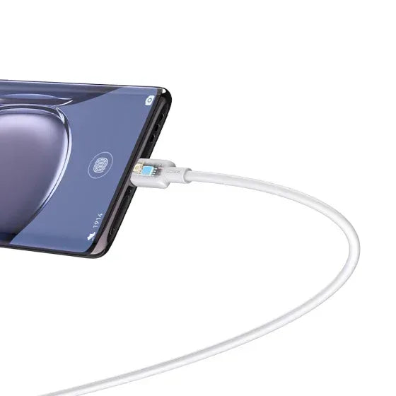 Recci Fast Charging and Data Cable Micro to USB 2.4A RS10M - Three