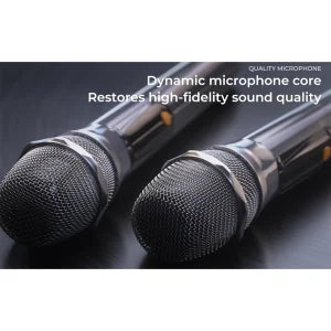 Lenyes Bluetooth 5.3 150W HiFi RGB Karaoke Speaker S861