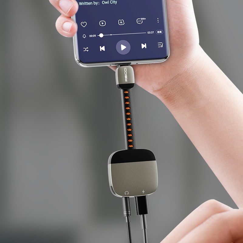 Recci Converter Type-C To Type-C 2 in 1 RDS-A13