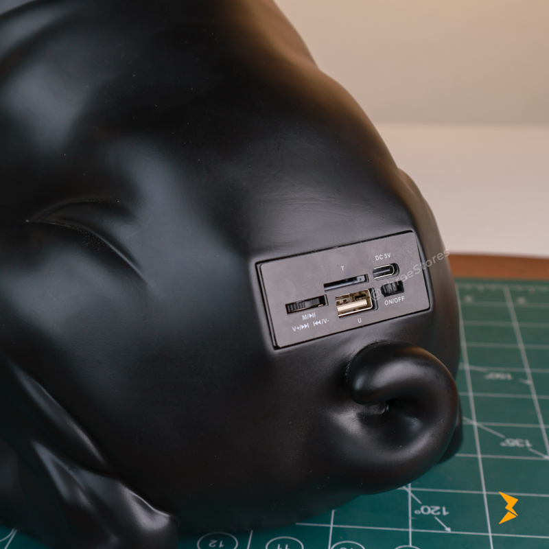 Bull Dog Wireless Digital Speaker Ch-M11