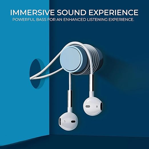 Lenyes Type-C 14mm HiFi Mic Wired Earphones LF105
