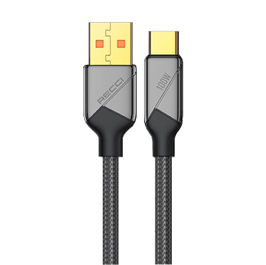 Recci Voyage 100w Fast Charging Cable 150cm RS18C