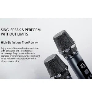 Lenyes Bluetooth 5.3 200W Dual UHF Mic IPX6 Party Speaker Titan 2