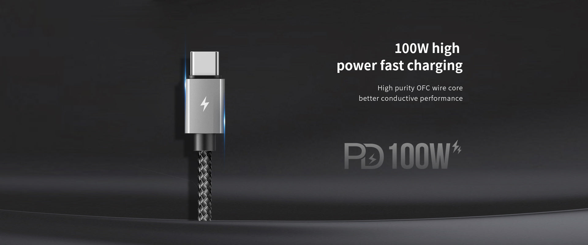 Recci PD 100W Data Cable