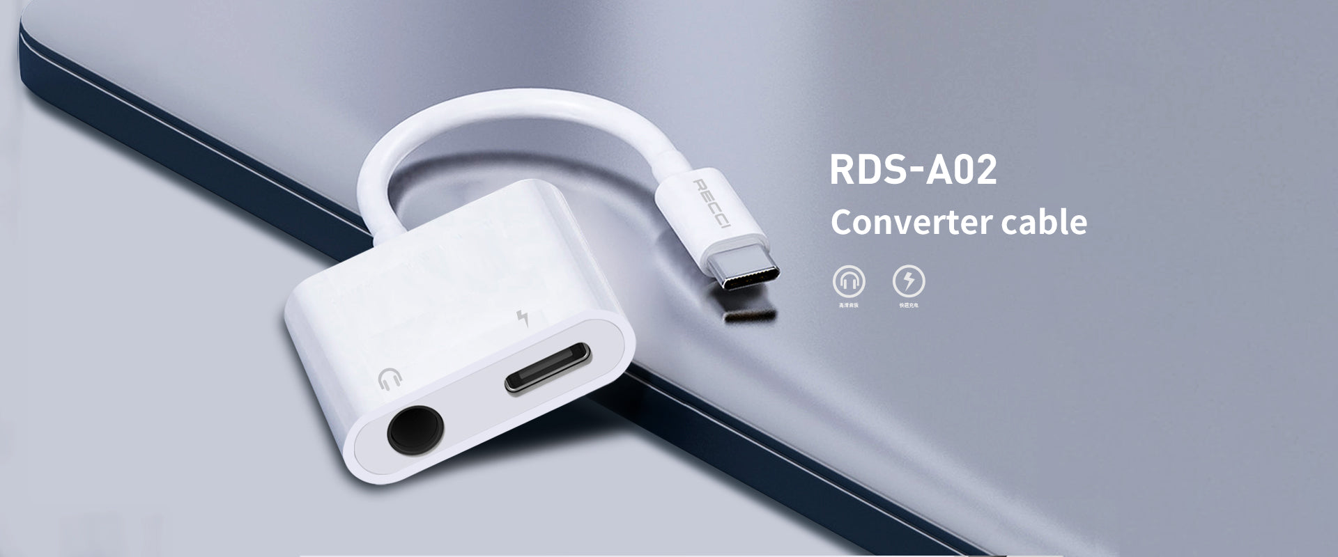 Recci Type C Converter