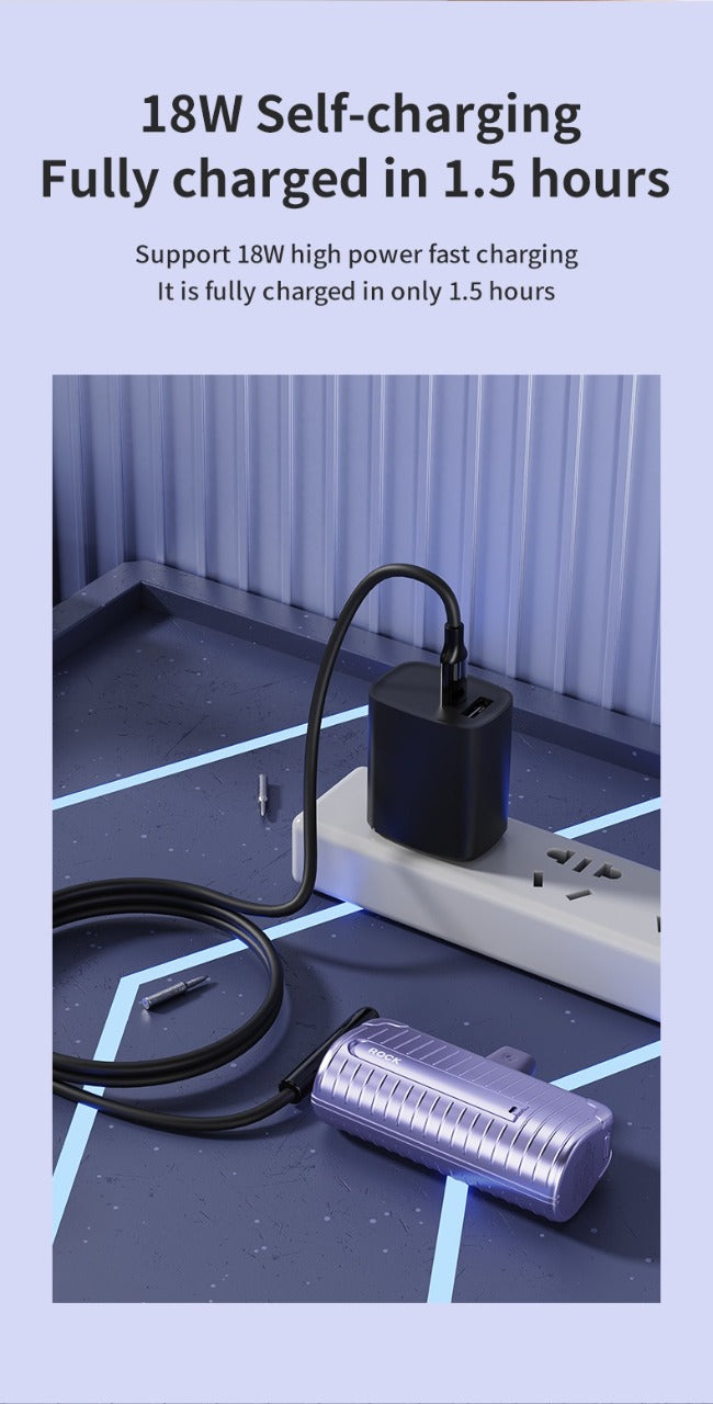 ROCK Lightning PD Power Bank 4800mAh P86